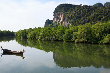 红树林沼泽