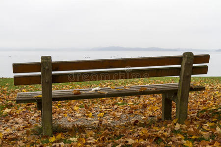 德国基姆湖公园长凳和树木