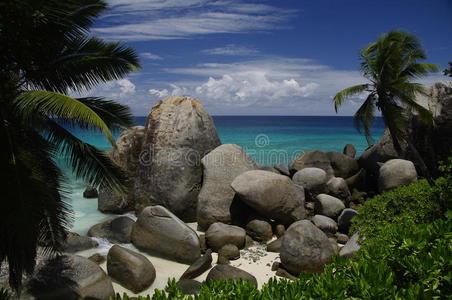 塞舌尔海滩的棕榈树和花岗岩