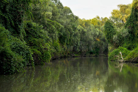 多瑙河三角洲景观