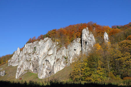 秋天的森林和白色的岩石。