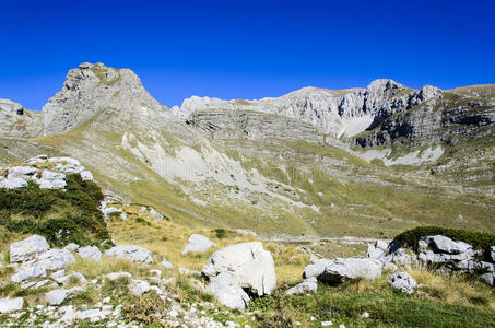 德米托，黑山