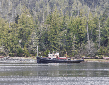 阿拉斯加海岸上生锈的旧工作船