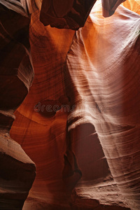 纳瓦霍砂岩的羚羊彩色图案