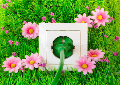 绿色电源插头插在草地上的插座上