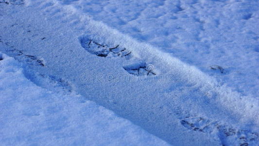 雪中跑步雪中的脚印照片