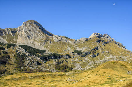 德米托，黑山