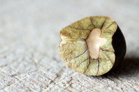 典型的墨西哥人墨西哥玉米煎饼包和牛肉,菜豆和蔬菜墨西哥玉米卷配肉