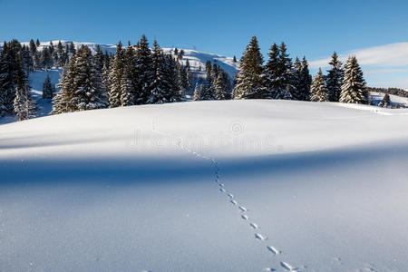 几乎未受影响的粉雪景观图片