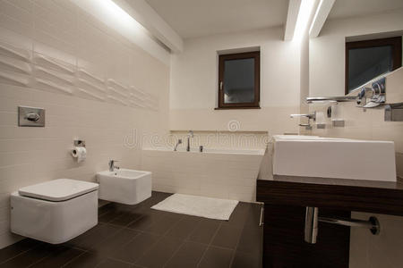 坐浴盆 浴缸 内阁 建筑师 酒店 米色 奢侈 纳图 洗澡
