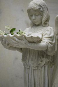 带洗礼字体和花的德穆尔天使图片