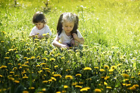 两个小女孩在草地上玩蒲公英