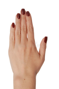 女人的手背照片