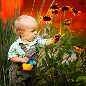 有浇水的小男孩可以检查花的质量