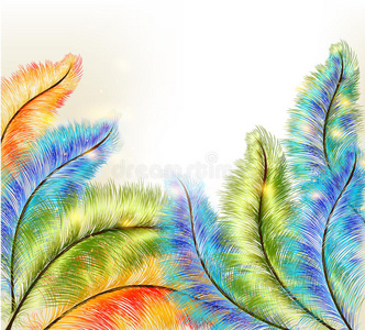 彩色蕨类植物的抽象清晰背景图片