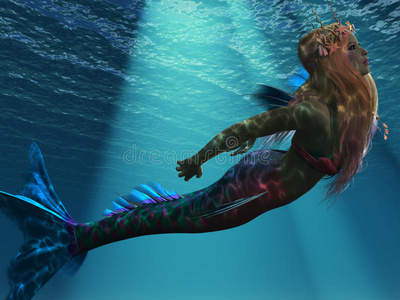 美海海洋美人鱼照片