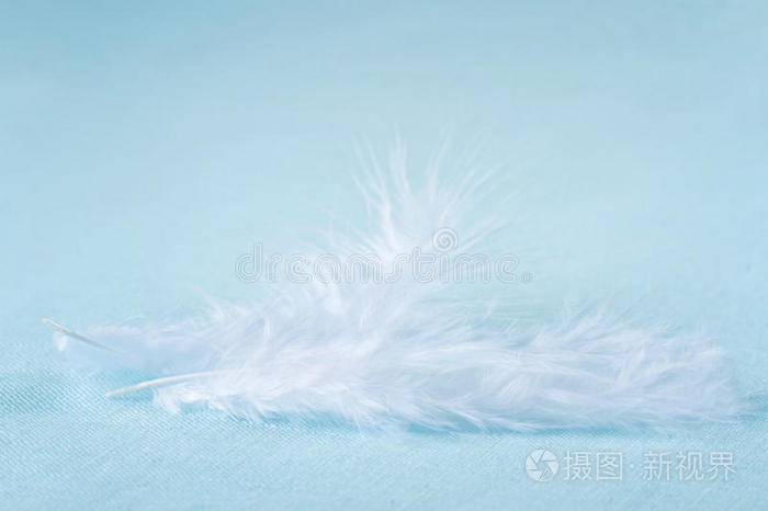 淡蓝色亚麻布背景上的两根白色羽毛