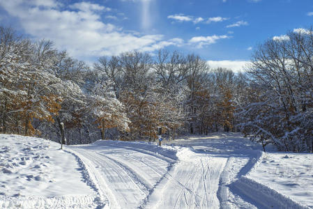 纵横交错的越野滑雪道