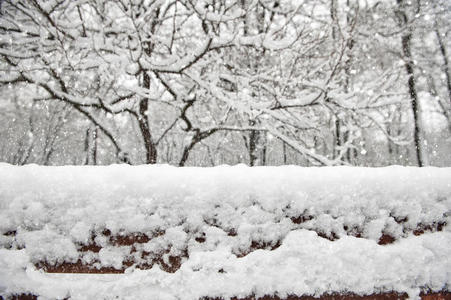 雪树和木板。