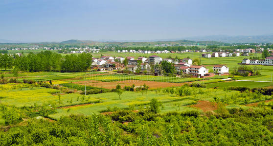 山西小米农场中国山西阳光农场照片