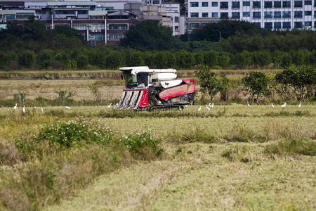 农耕优雅田