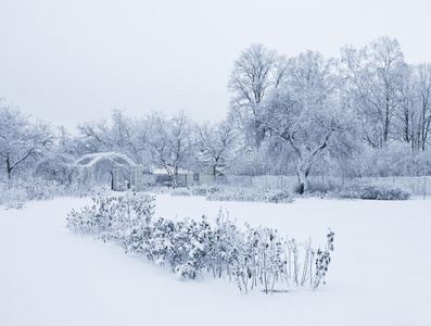 雪地花园图片