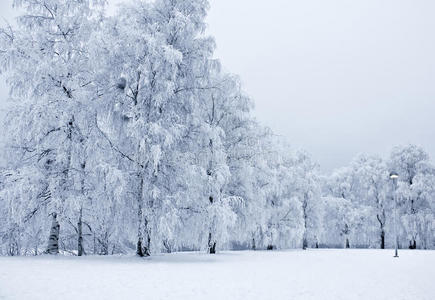 雪地公园3