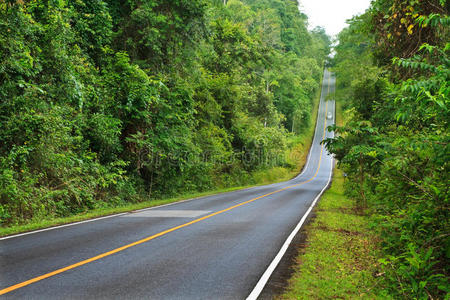 泰国khaoyai国家公园森林路