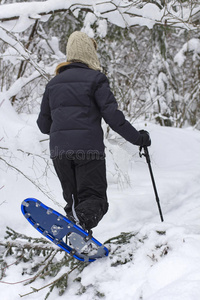 森林雪鞋