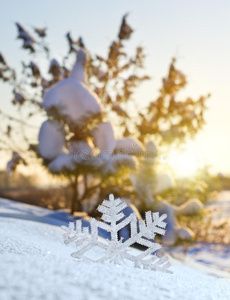 装饰雪花