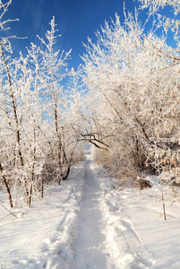 道路在白雪覆盖的沃利蓝天下