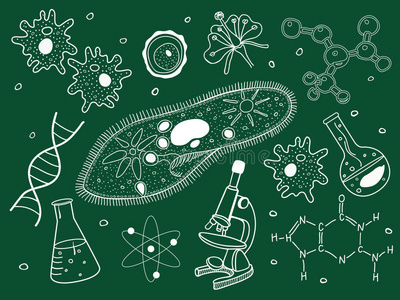 学校图标学校黑板上的生物图标.照片