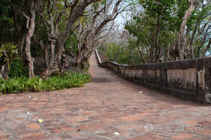 花园里草地上的石头人行道照片-正版商用图片0mez2v-摄图新视界
