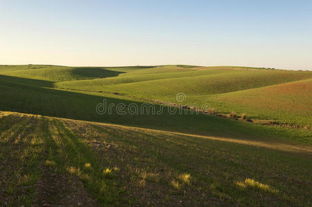 起伏的风景