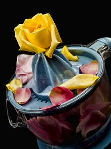 柠檬榨汁机花瓣图片