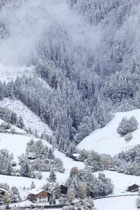 新下的雪