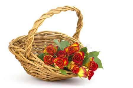 篮子里的红玫瑰和黄玫瑰图片