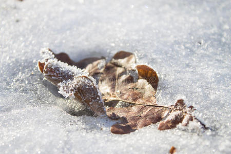 雪中送炭