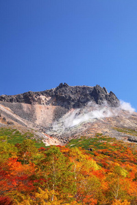 山秋叶