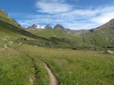 阿尔卑斯山