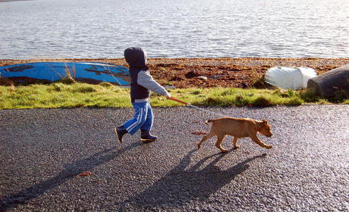 遛狗小女孩遛狗男孩遛狗遛狗带着小儿子遛狗的男人遛狗的孩子幸福家庭