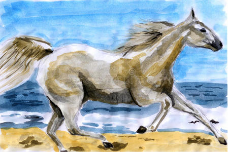 照片 绘画 动物 手绘 农场 移动 赛马 自然 艺术 野马