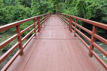 通往丛林的桥，khao yai国家公园