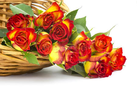 篮子里的红玫瑰和黄玫瑰图片