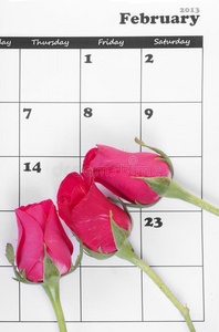 情人节日历上的粉红玫瑰图片
