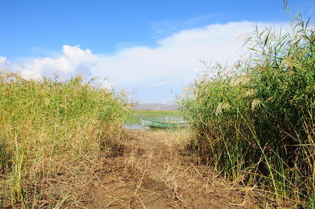 青山绿水