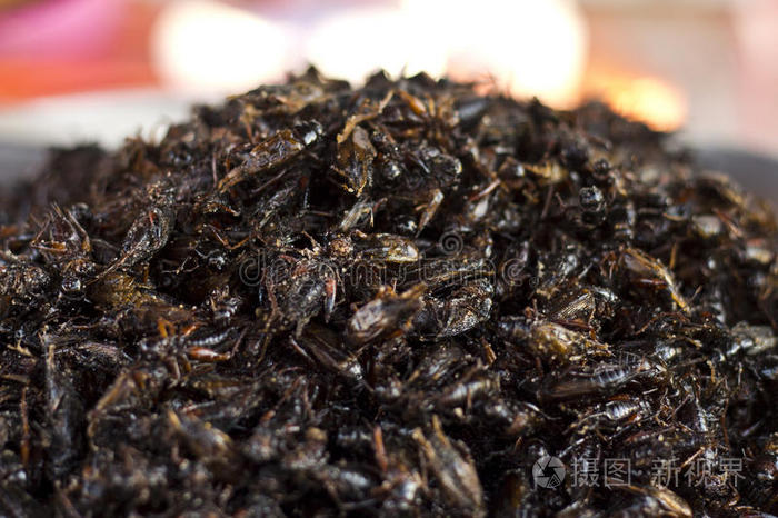 成熟椰子鹅膏毒蘑菇成分沙拉琼脂苍蝇鹌鹑蛋木质背景黑豆蔻荚果毒蘑菇