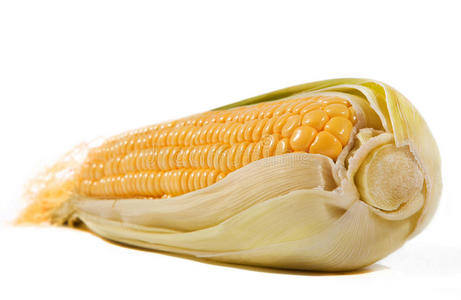 玉米芯图片