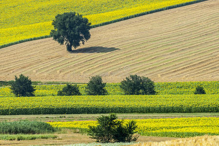 marches意大利，景观