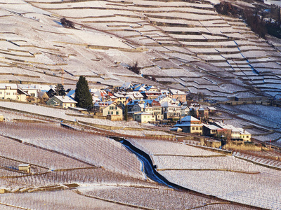 拉沃克斯冬季积雪